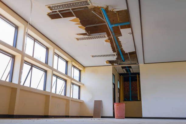 Best Professional water damage repair  in Rolla, ND