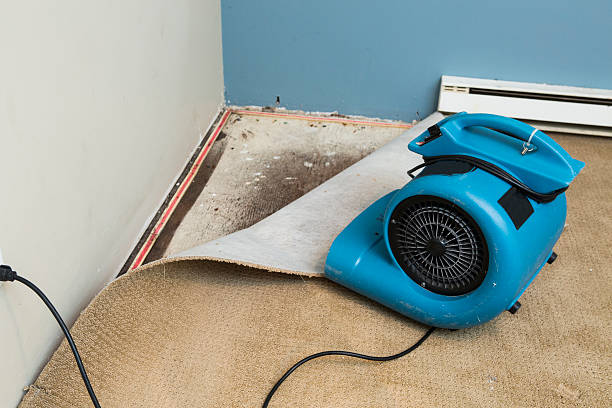 Best 24-hour water damage restoration  in Rolla, ND